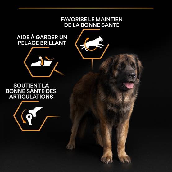 Purina Pro Plan - Croquettes chien Adulte Large Robust OptiBalance 14KG + 2,5KG gratuits - PRO PLAN - Image 11