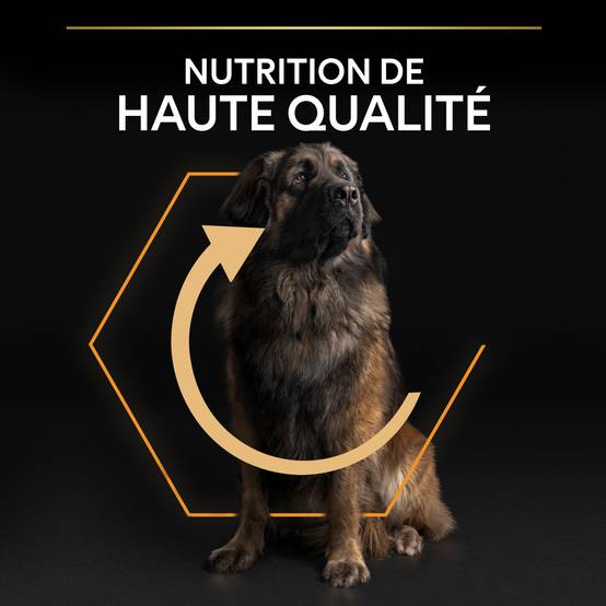 Purina Pro Plan - Croquettes chien Adulte Large Robust OptiBalance 14KG + 2,5KG gratuits - PRO PLAN - Image 9