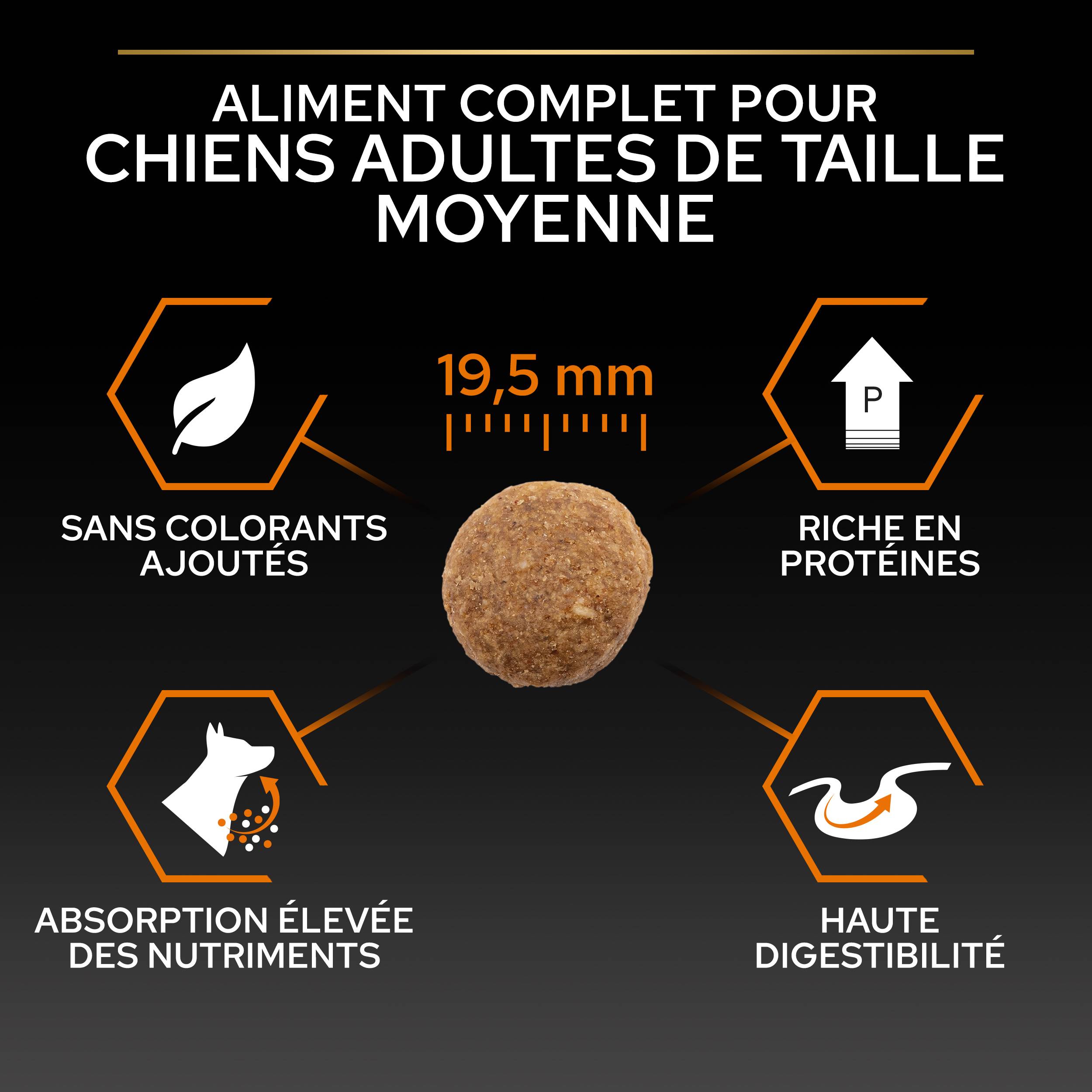 Purina Pro Plan - Croquettes chien Adulte Large Robust OptiBalance 14KG + 2,5KG gratuits - PRO PLAN - Image 4