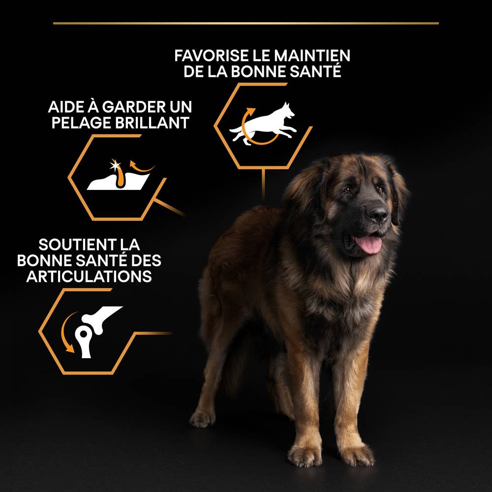 Purina Pro Plan - Croquettes chien Adulte Large Robust OptiBalance 14KG + 2,5KG gratuits - PRO PLAN - Image 12