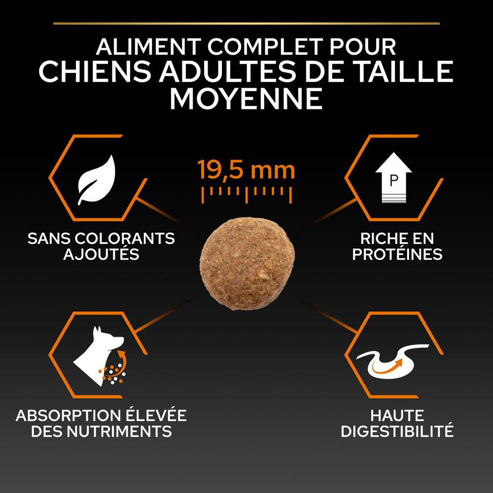 Purina Pro Plan - Croquettes chien Adulte Large Robust OptiBalance 14KG + 2,5KG gratuits - PRO PLAN - Image 17