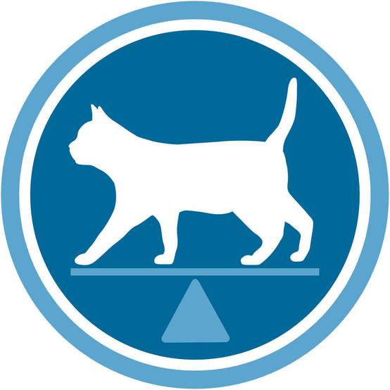 Purina One - Croquettes chat Adulte Stérilisé Saumon et Blé 3 kg - PURINA ONE - Image 12