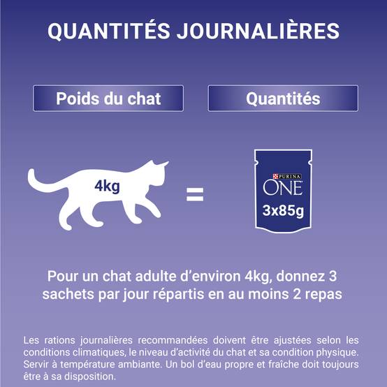 Purina One - Effilés sauce chat Adulte Poulet Bœuf 4x85g - PURINA ONE - Image 11