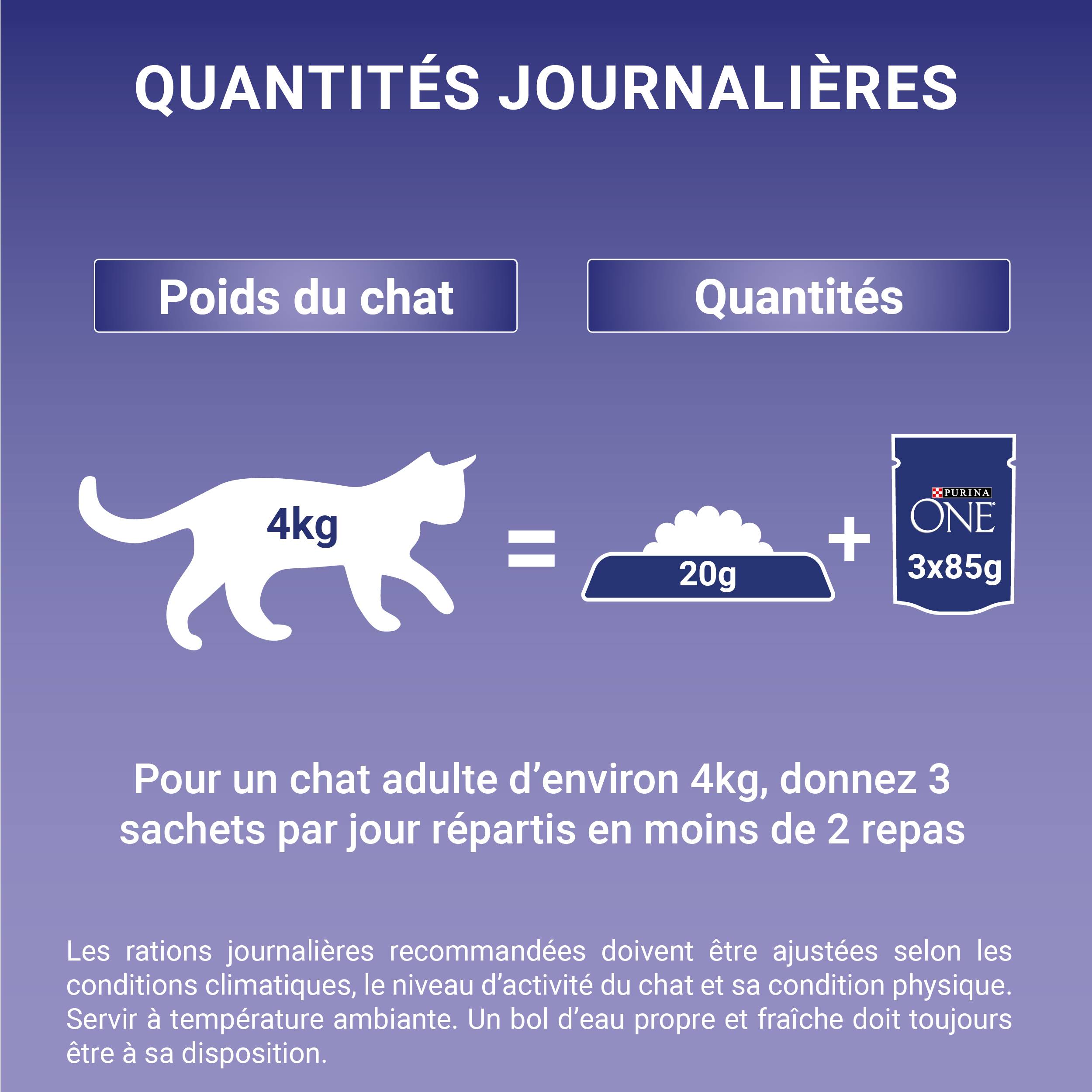Purina One - Effilés sauce chat Adulte Poulet Bœuf 4x85g - PURINA ONE - Image 10
