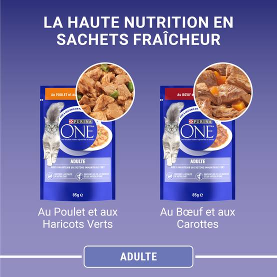 Purina One - Effilés sauce chat Adulte Poulet Bœuf 4x85g - PURINA ONE - Image 7