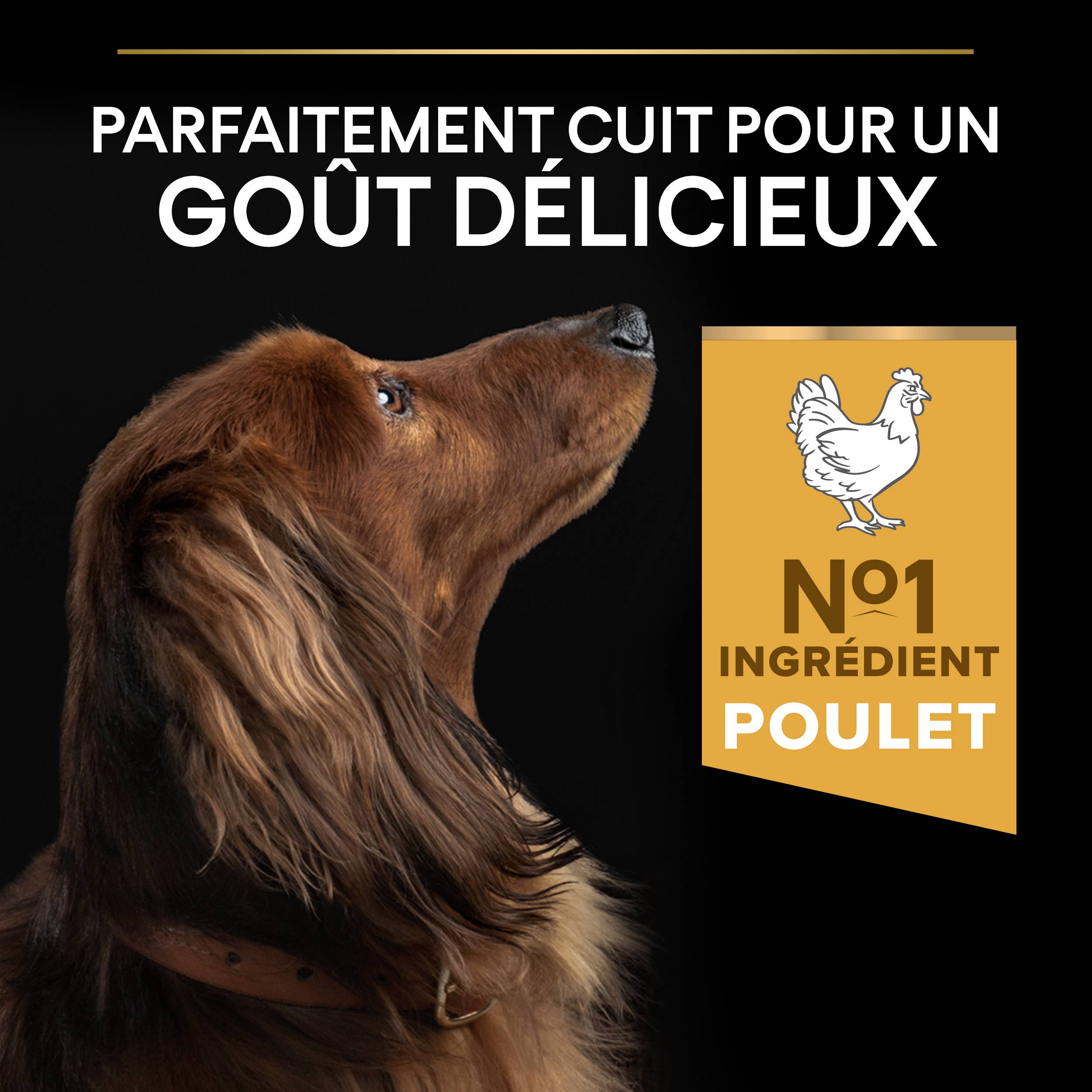 Purina Pro Plan - Croquettes petit chien Adulte poulet 3 kg - PRO PLAN - Image 14