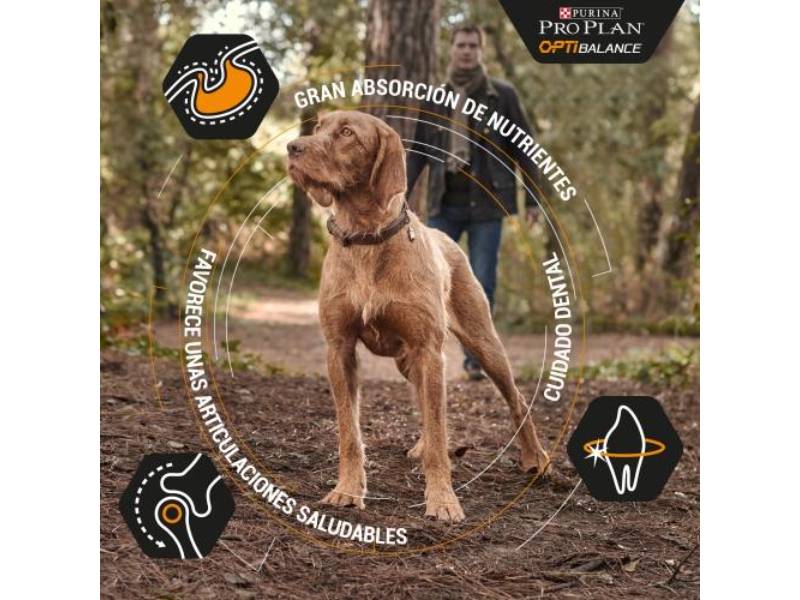 Purina Pro Plan - Croquettes petit chien Adulte poulet 3 kg - PRO PLAN - Image 15