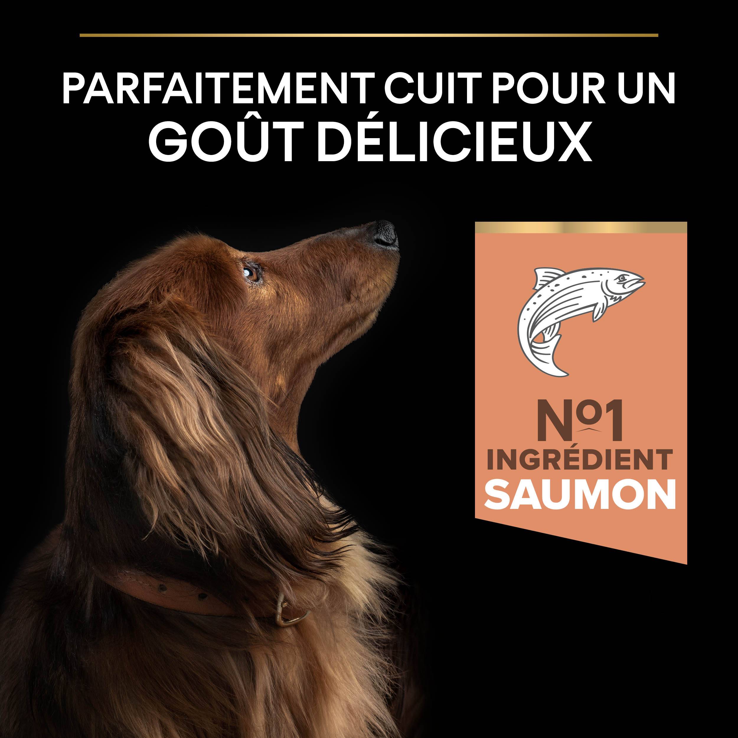 Purina Pro Plan - Croquettes chien Adulte Peau Sensible Saumon 3 kg - PRO PLAN - Image 5