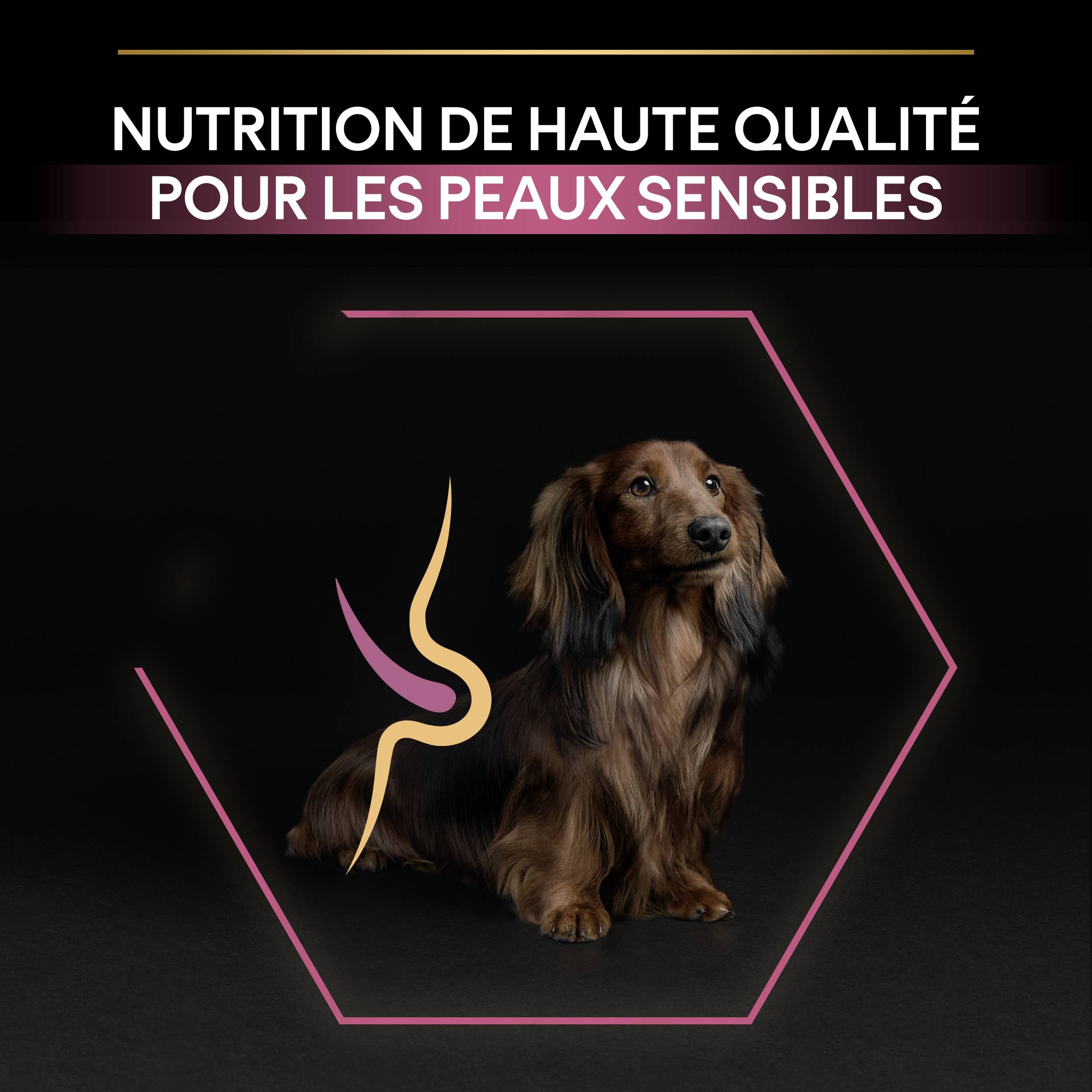 Purina Pro Plan - Croquettes chien Adulte Peau Sensible Saumon 3 kg - PRO PLAN - Image 7