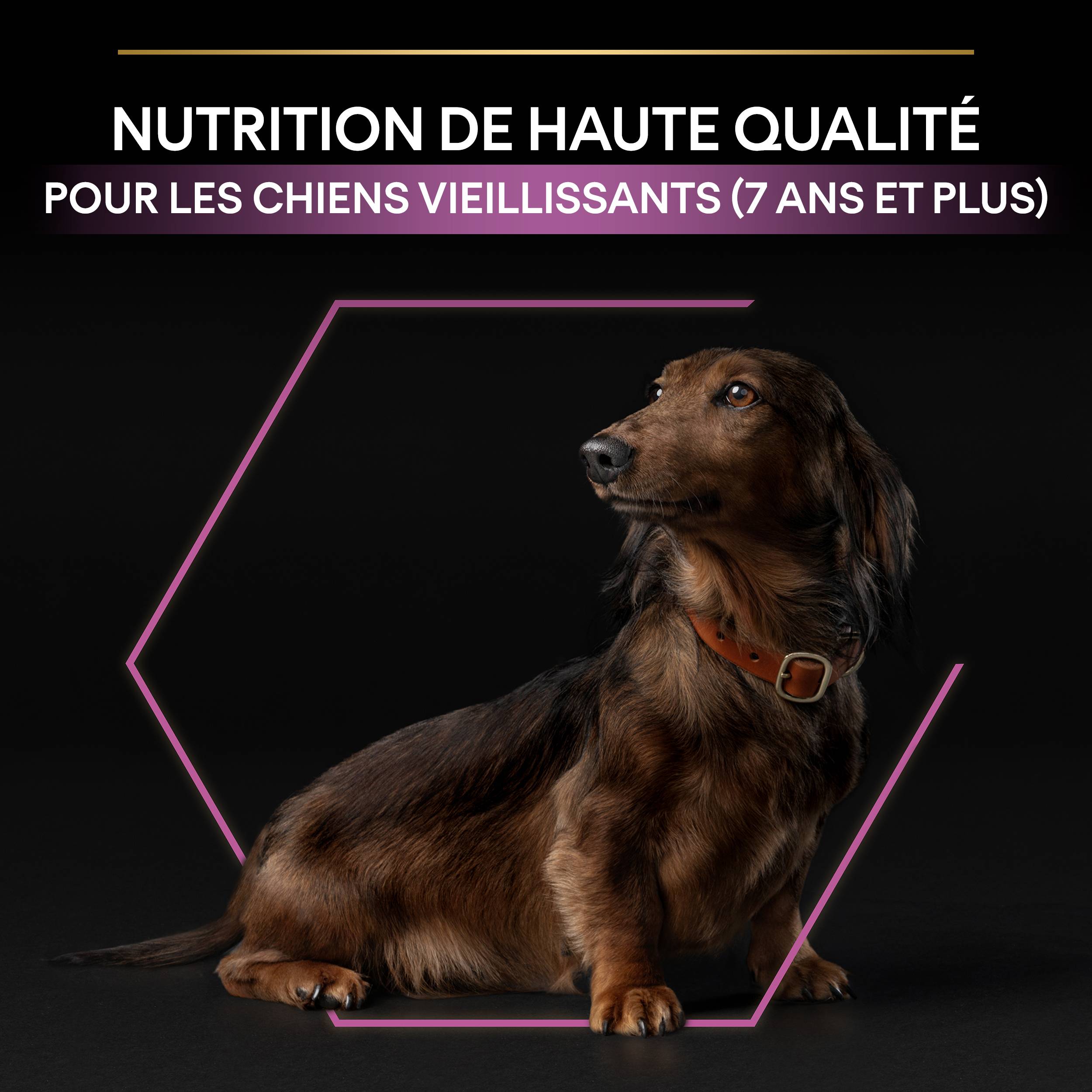 Purina Pro Plan - Croquettes petit chien Adulte 9+  Poulet 3KG - PRO PLAN - Image 8