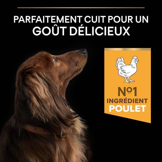 Purina Pro Plan - Croquettes petit chien Adulte 9+ Poulet 3KG - PRO PLAN - Image 12