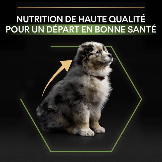 Purina Pro Plan - Croquettes chiot Medium 12 kg - PRO PLAN - Image 2