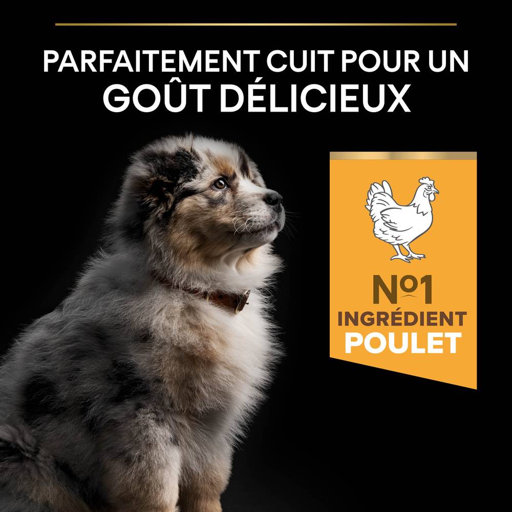 Purina Pro Plan - Croquettes chiot Medium 12 kg - PRO PLAN - Image 10