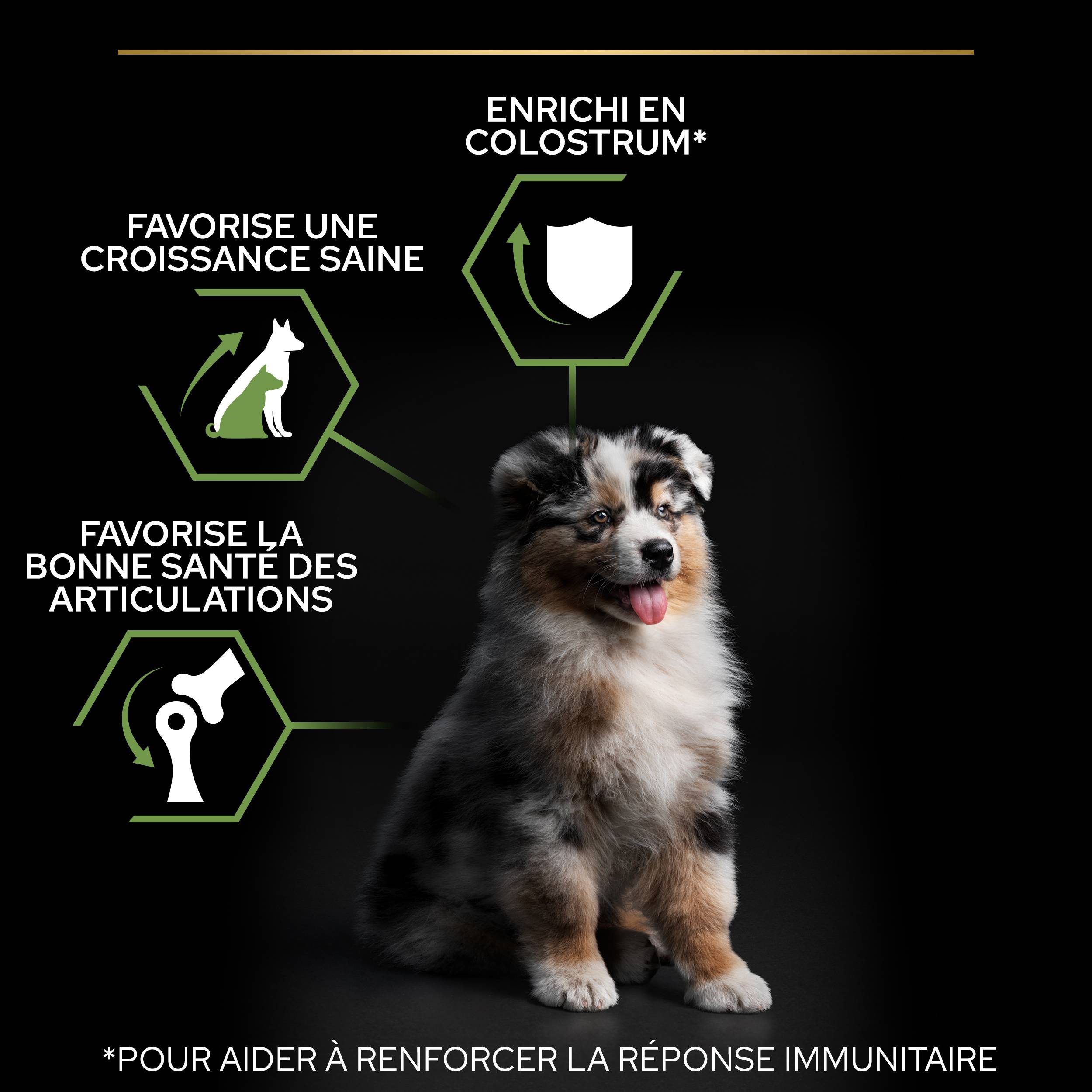 Purina Pro Plan - Croquettes chiot Medium Optistart Poulet 3 kg - PRO PLAN - Image 6