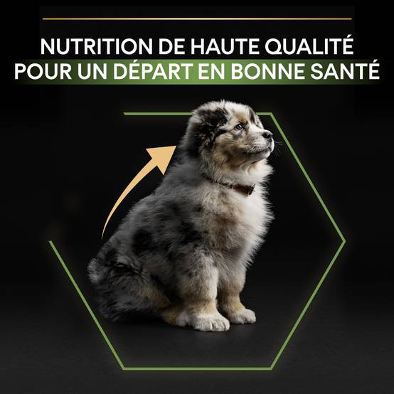 Purina Pro Plan - Croquettes chiot Medium Optistart Poulet 3 kg - PRO PLAN - Image 7