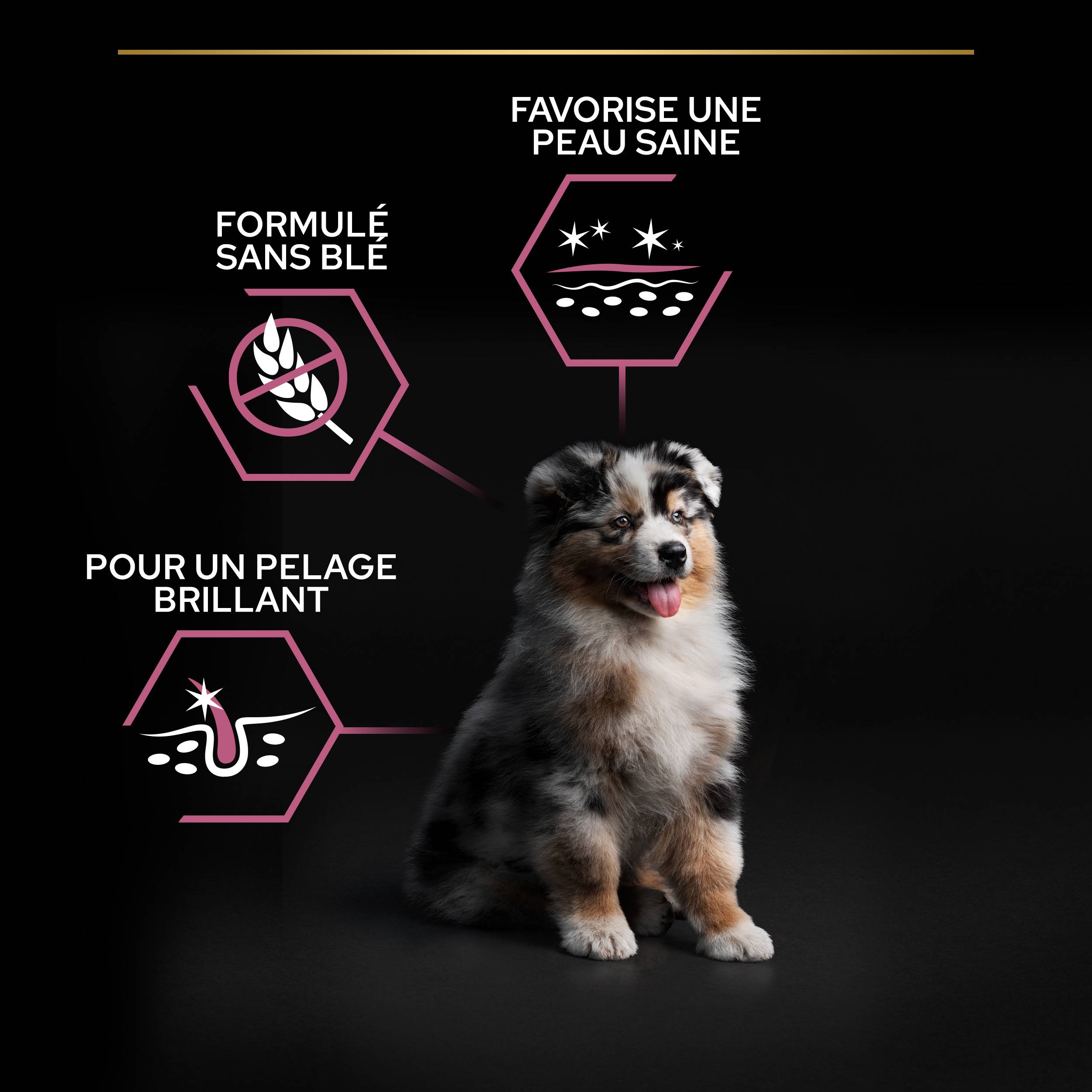 Purina Pro Plan - Croquettes chiot Sensitive Skin 3 kg - PRO PLAN - Image 2