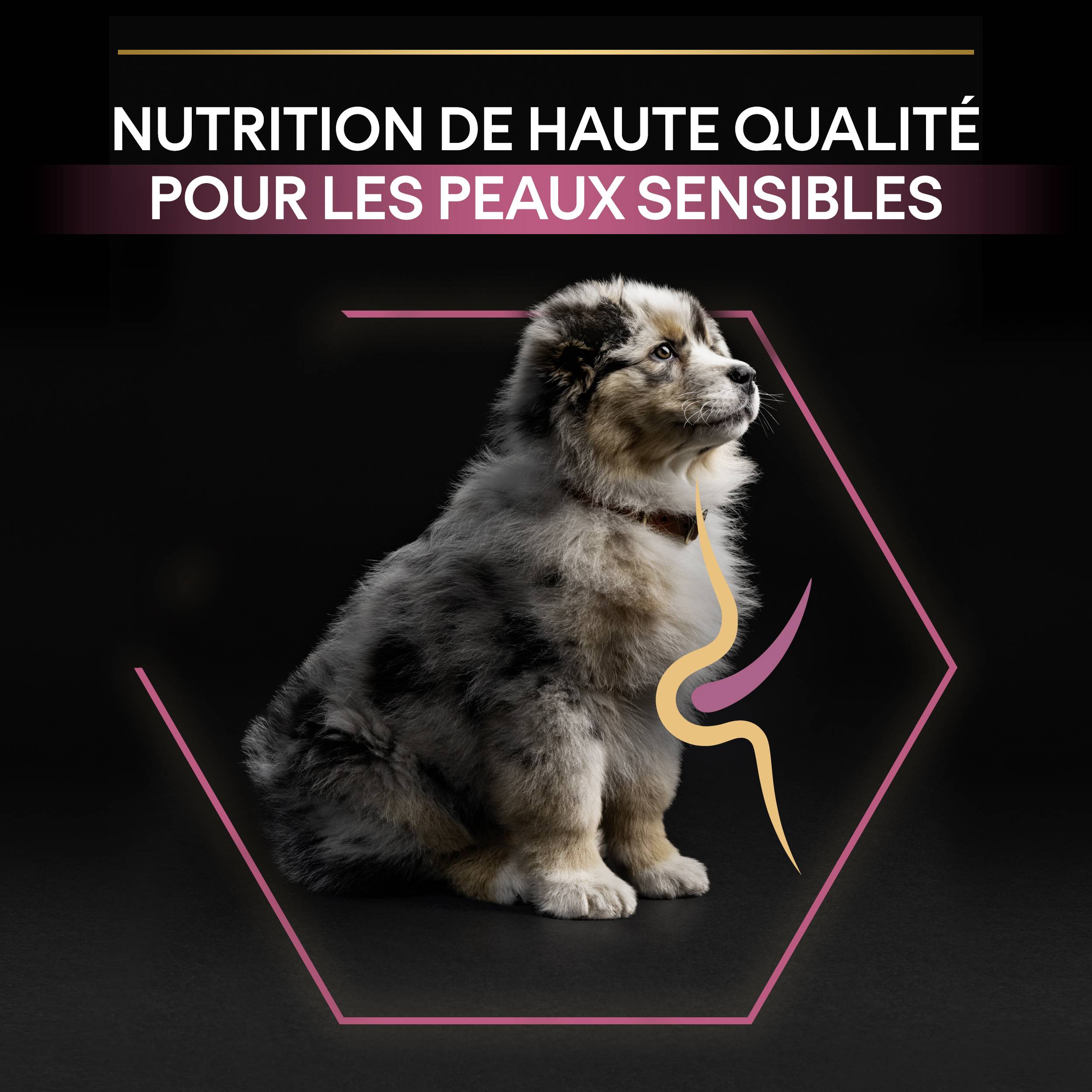 Purina Pro Plan - Croquettes chiot Sensitive Skin 3 kg  - PRO PLAN - Image 3