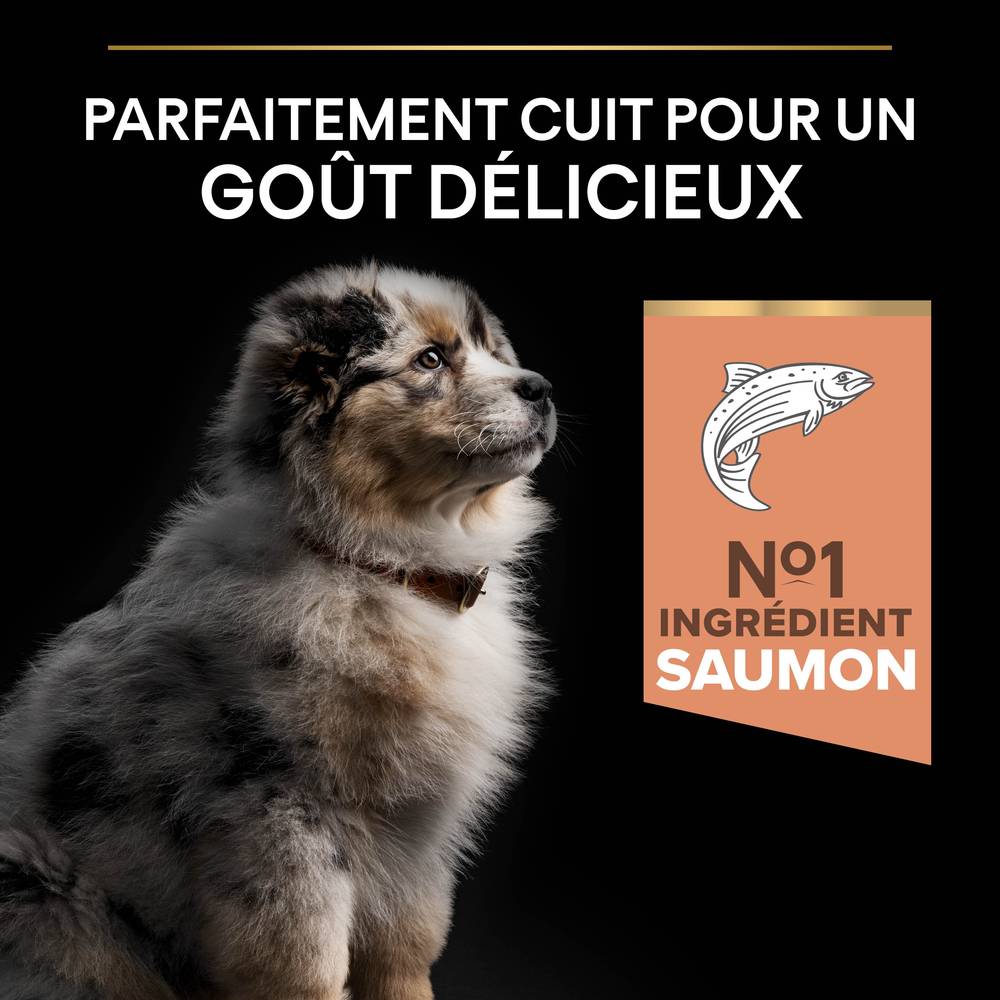 Purina Pro Plan - Croquettes chiot Sensitive Skin 3 kg - PRO PLAN - Image 16