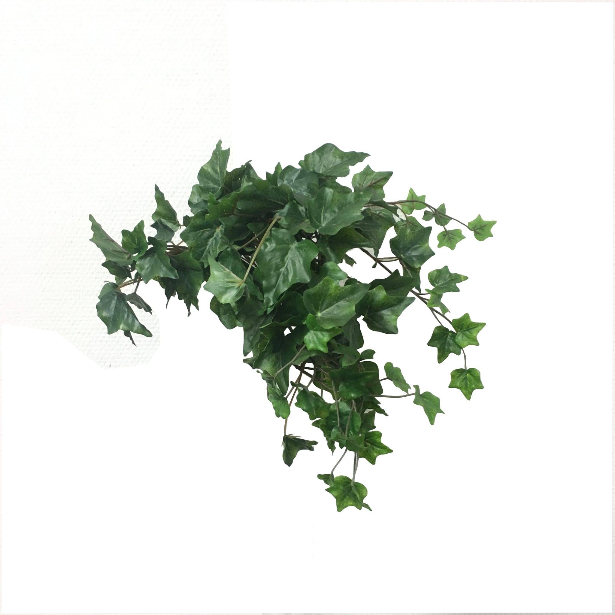 Kalyste - Kalyste - Lierre artificiel en chute - l.20 x H.43 cm