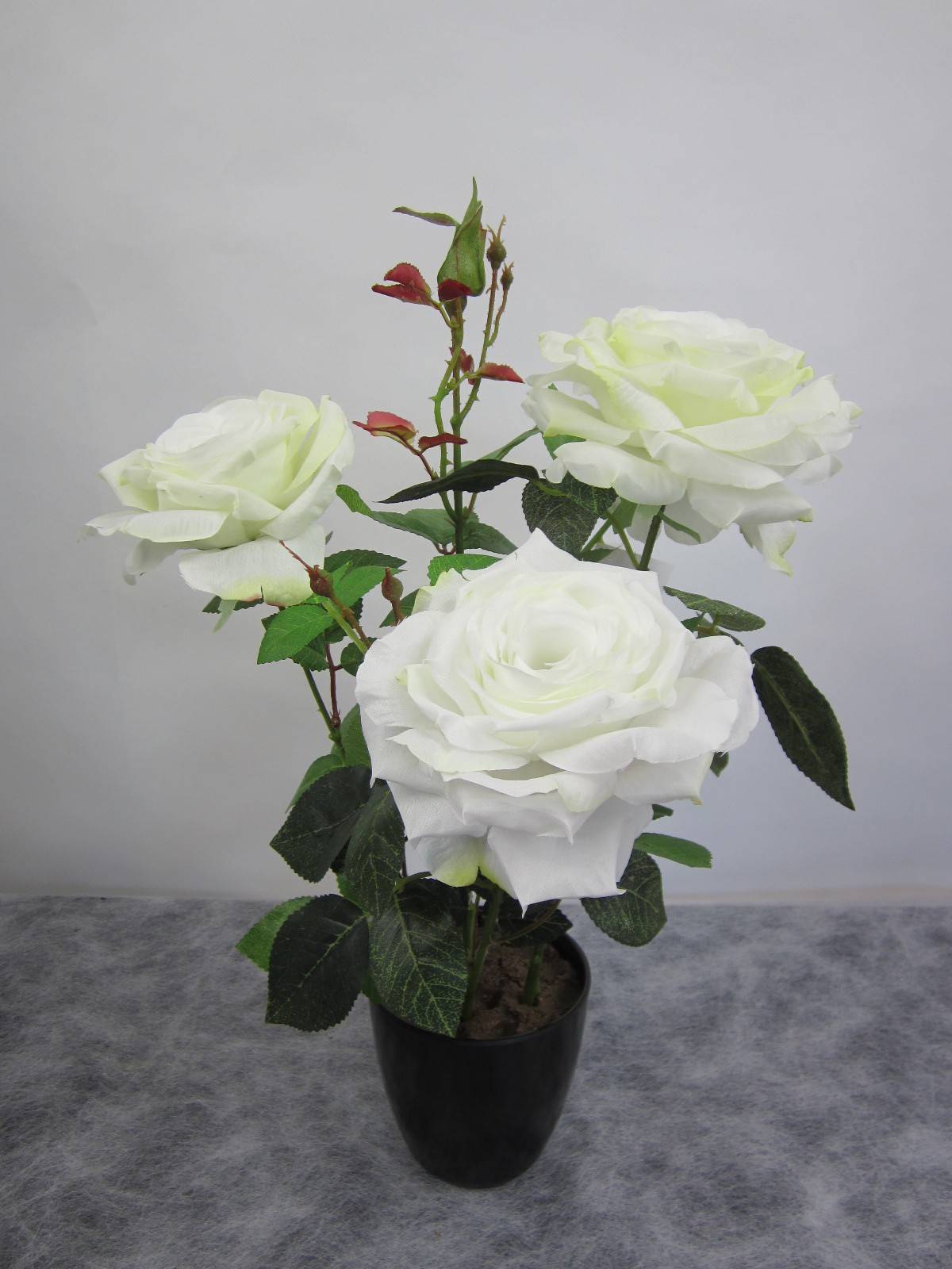 Kalyste - Rosier Blanc Dans Pot Plastique Noir artificiel H.56 cm