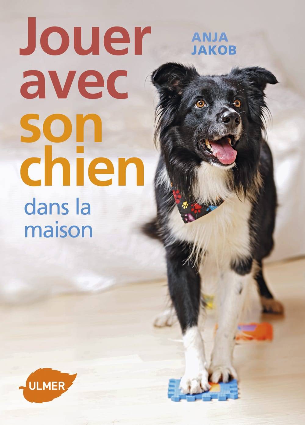 Ulmer - Jouer avec son chien dans la maison