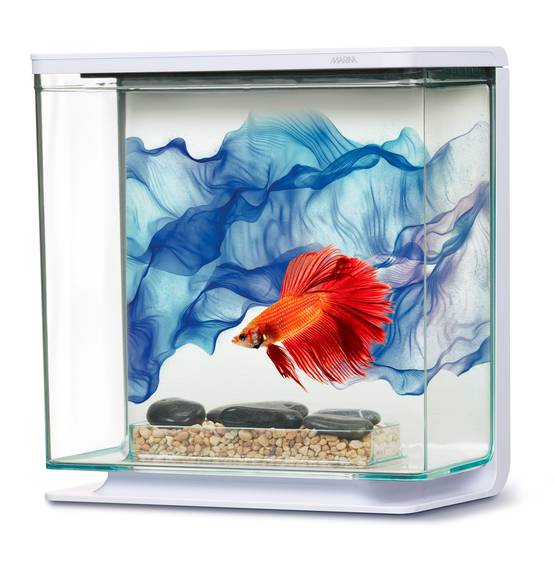 Marina - Aquarium BETTA KIT Bleu 3 L - L.21,8 x l.11 x H.22 cm