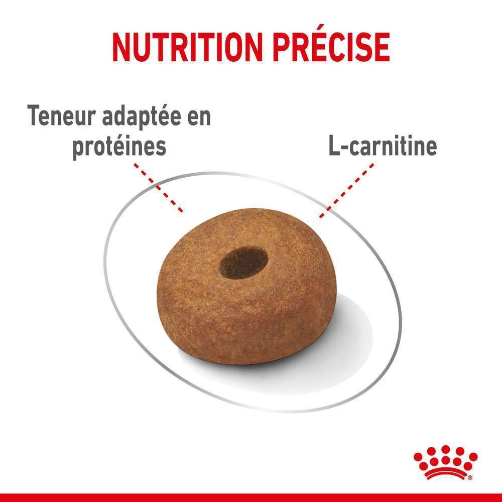 Royal Canin - Croquettes chien Maxi Light Weight Care - ROYAL CANIN - Image 6