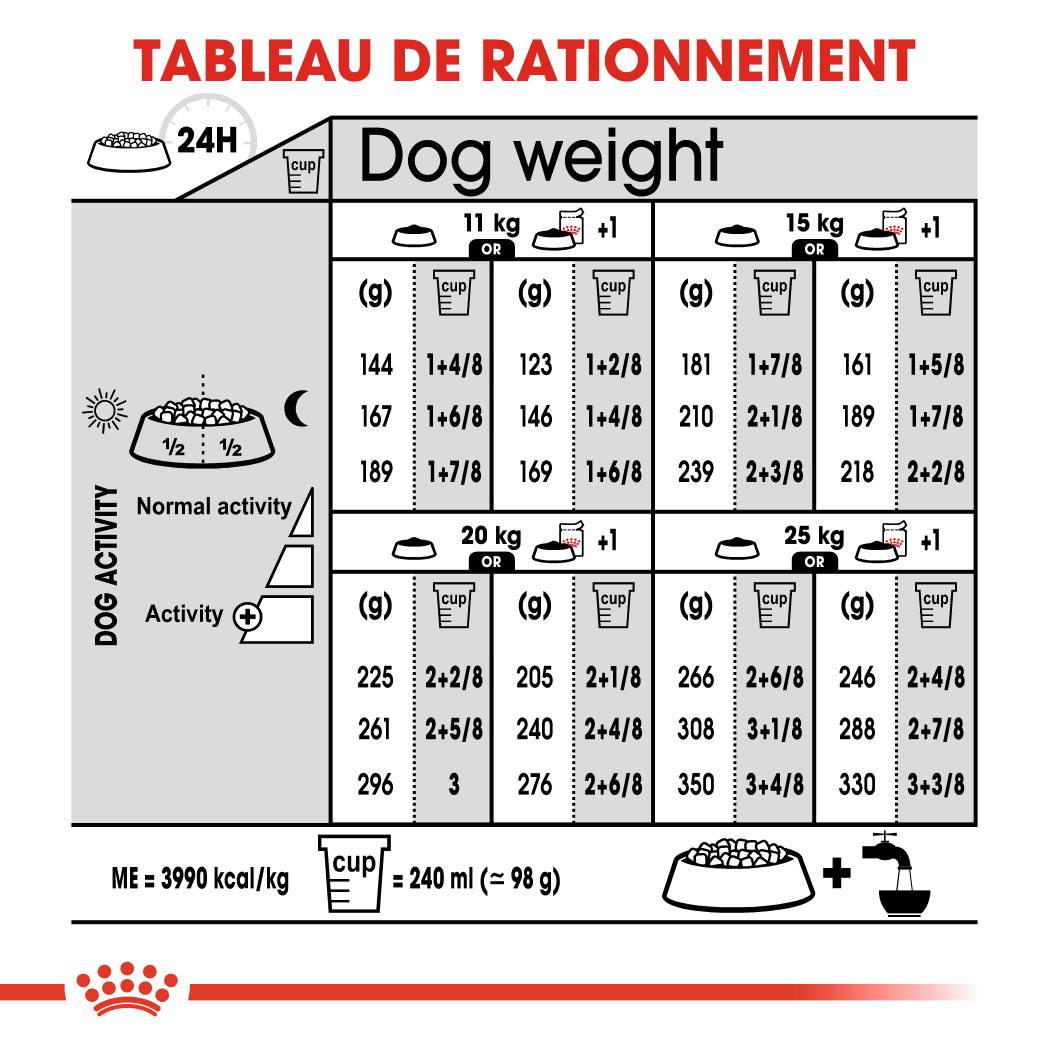 Royal Canin - Croquettes chien Medium Digestive Care - ROYAL CANIN - Image 3