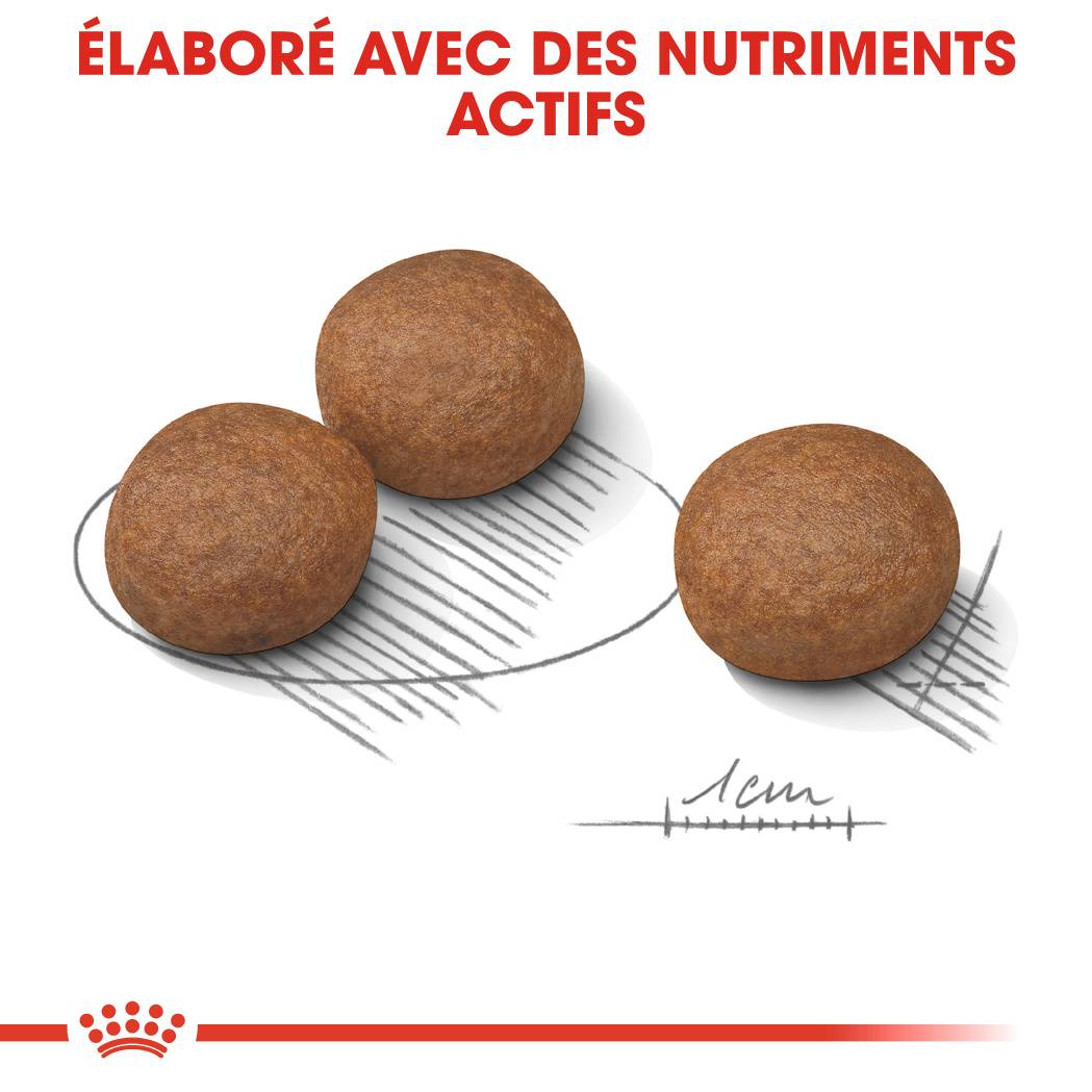 Royal Canin - Croquettes chien Medium Digestive Care - ROYAL CANIN - Image 5