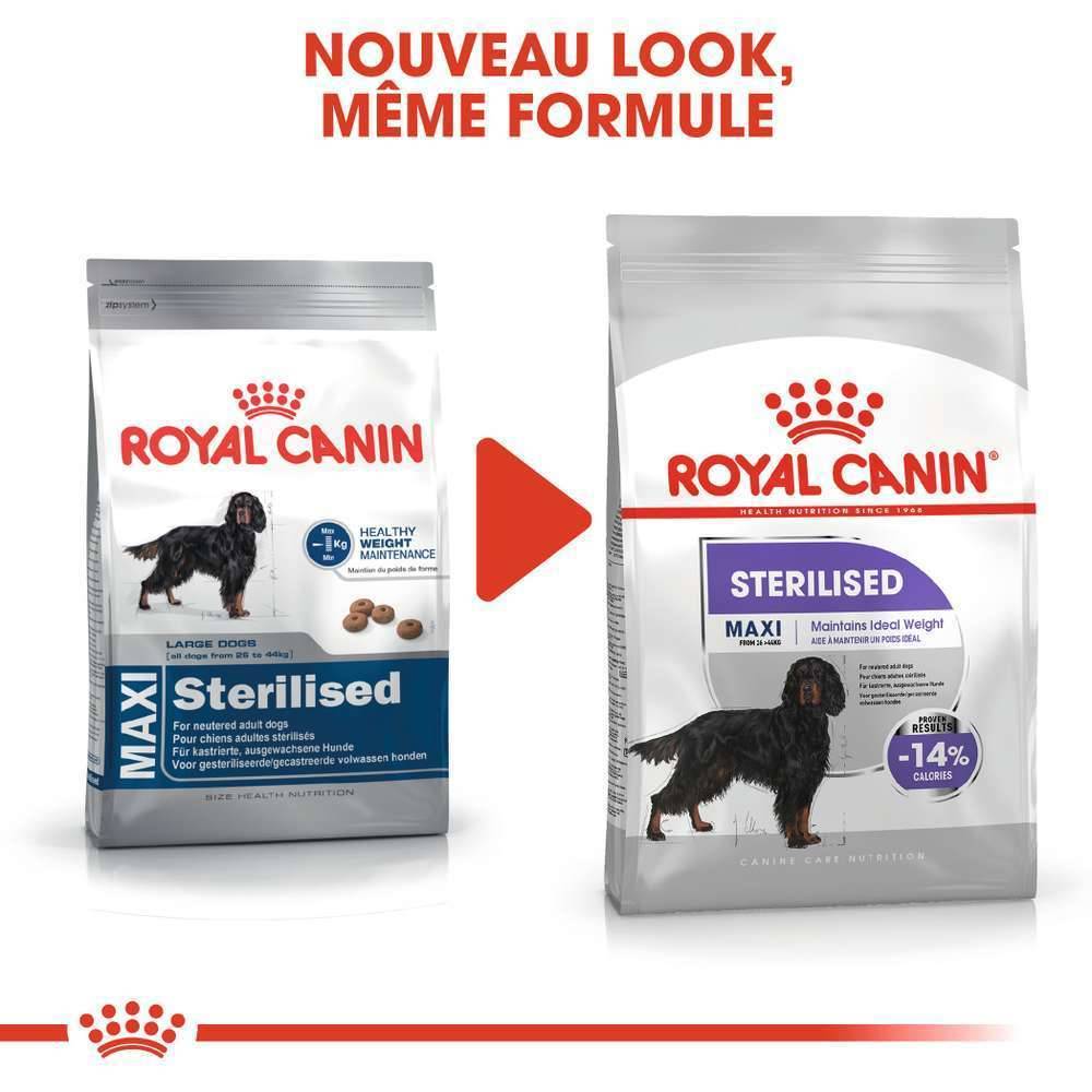 Royal Canin - Croquettes chien Maxi Sterilised ROYAL CANIN - Imagen 4