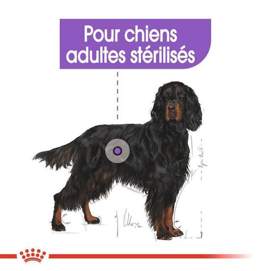 Royal Canin - Croquettes chien Maxi Sterilised ROYAL CANIN - Image 7