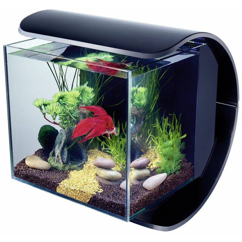 Tetra - Aquarium Silhouette Verre LED 12 L TETRA - Image 2