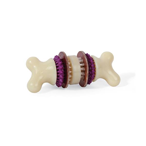 Petsafe - Petsafe - Jouet Os nettoyant M l.7 x P.20,5 x H.15 cm