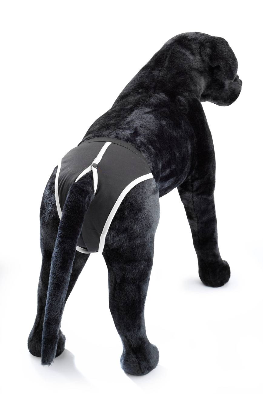 D&D - Culotte chien D&D  Classic Black/-S-/240-310mm