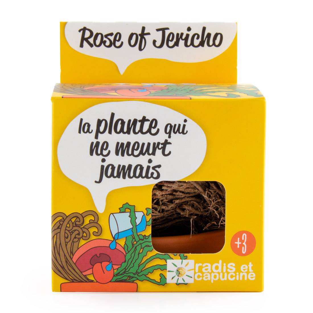 Kit plante éternelle RADIS ET CAPUCINE - Image 2