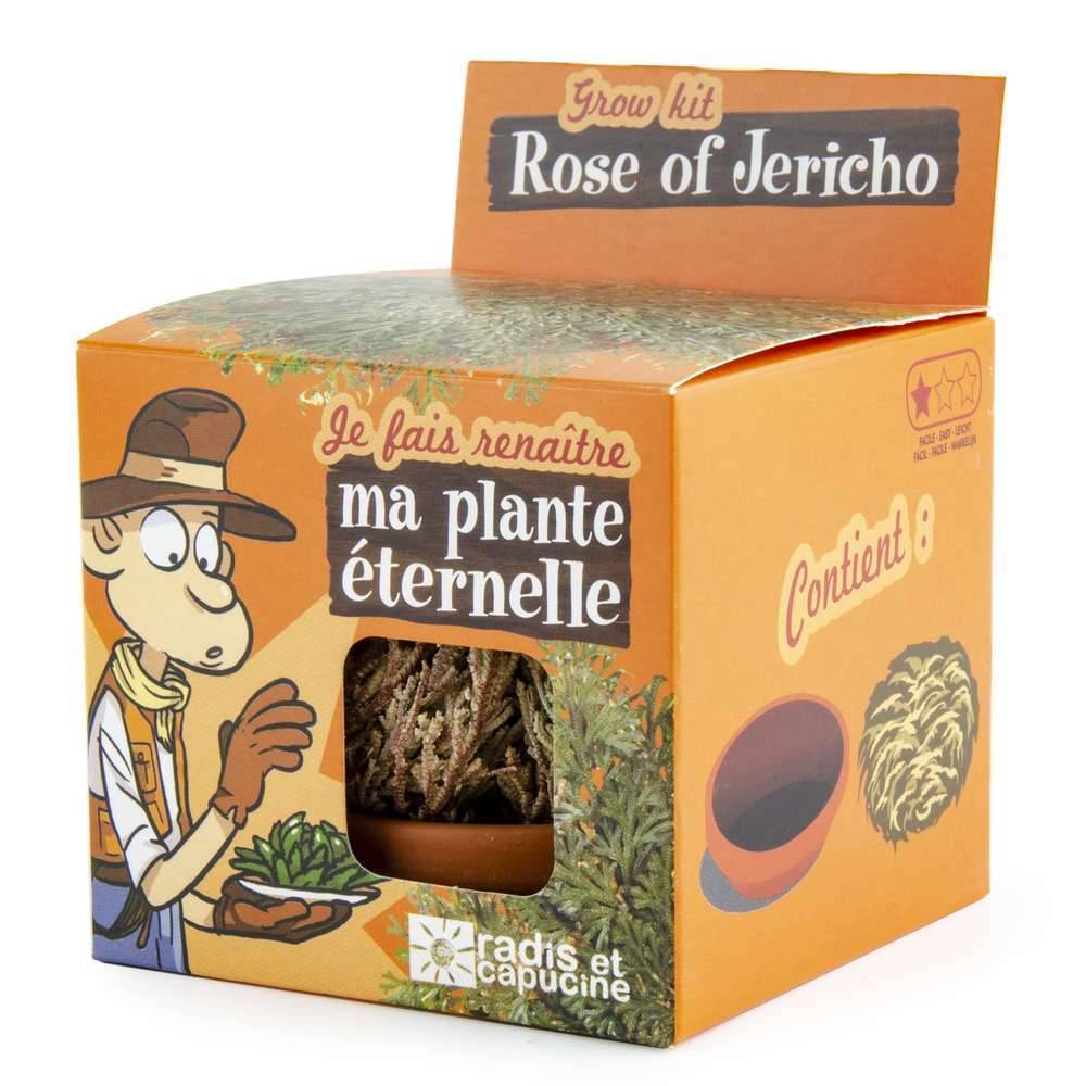 Kit plante éternelle RADIS ET CAPUCINE - Image 3