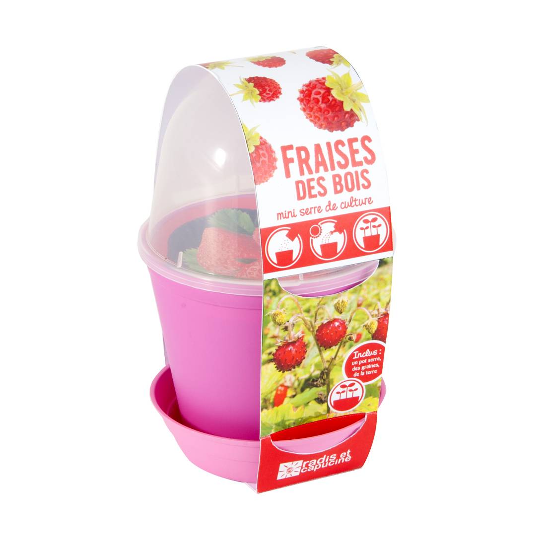 Fun pot - Fraise - Image 1