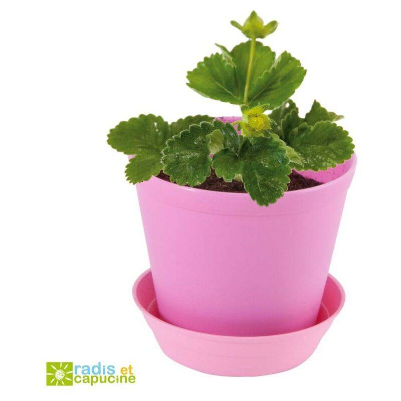 Fun pot - Fraise - Image 2