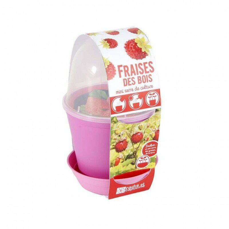 Fun pot - Fraise - Image 3