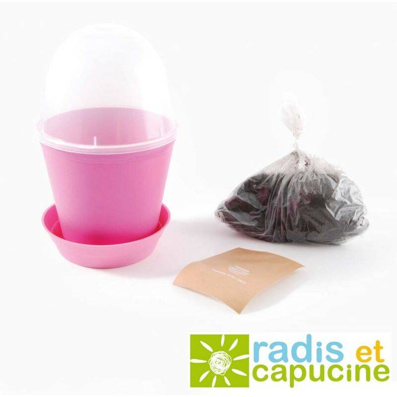 Fun pot - Fraise - Image 5
