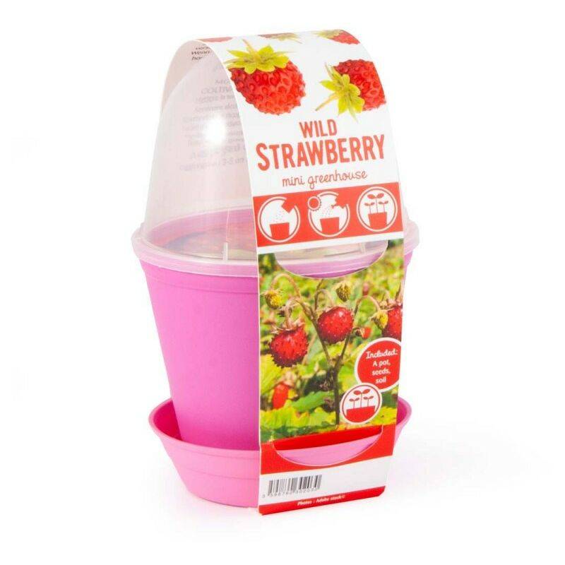 Fun pot - Fraise - Image 4