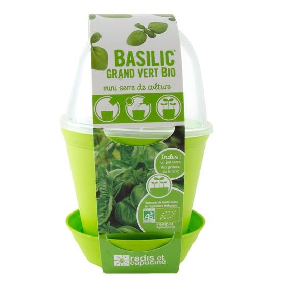 Pot Cloche Basilic Bio - RADIS ET CAPUCINE - Image 2