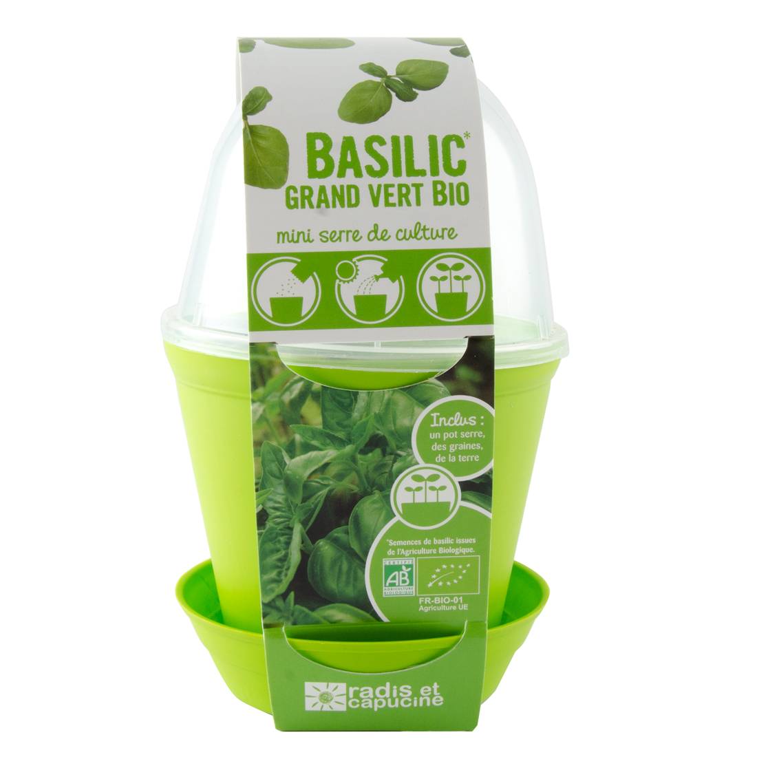 Pot Cloche Basilic Bio - RADIS ET CAPUCINE - Image 2