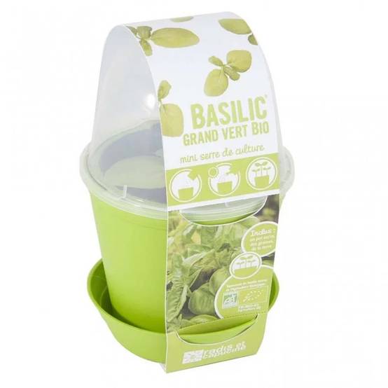 Pot Cloche Basilic Bio - RADIS ET CAPUCINE - Image 6