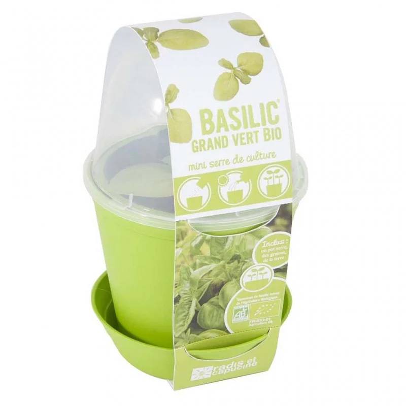 Pot Cloche Basilic Bio - RADIS ET CAPUCINE - Image 6