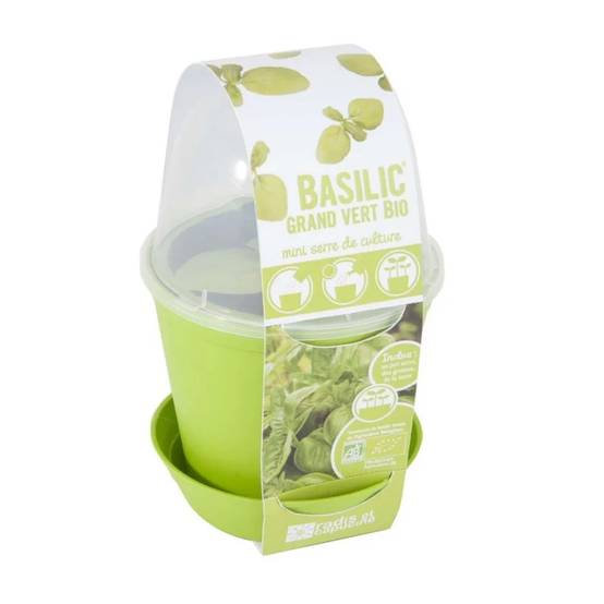 Pot Cloche Basilic Bio - RADIS ET CAPUCINE - Image 7