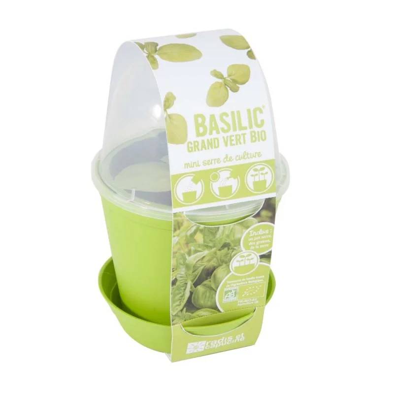 Pot Cloche Basilic Bio - RADIS ET CAPUCINE - Image 7