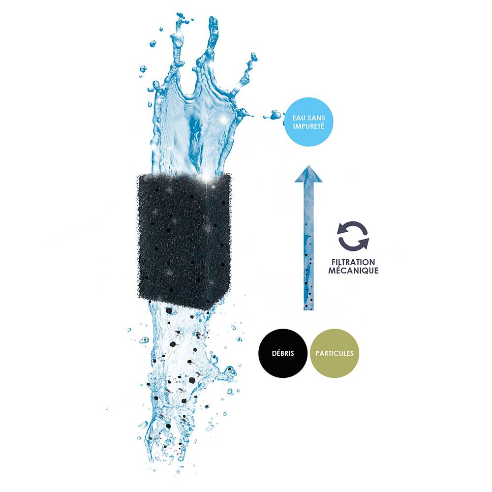 Mousse Foam – CIANO - Image 4