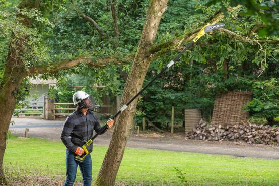 Ryobi - Elagueur sur perche sans fil 18V guide 20 cm - RYOBI - Image 7
