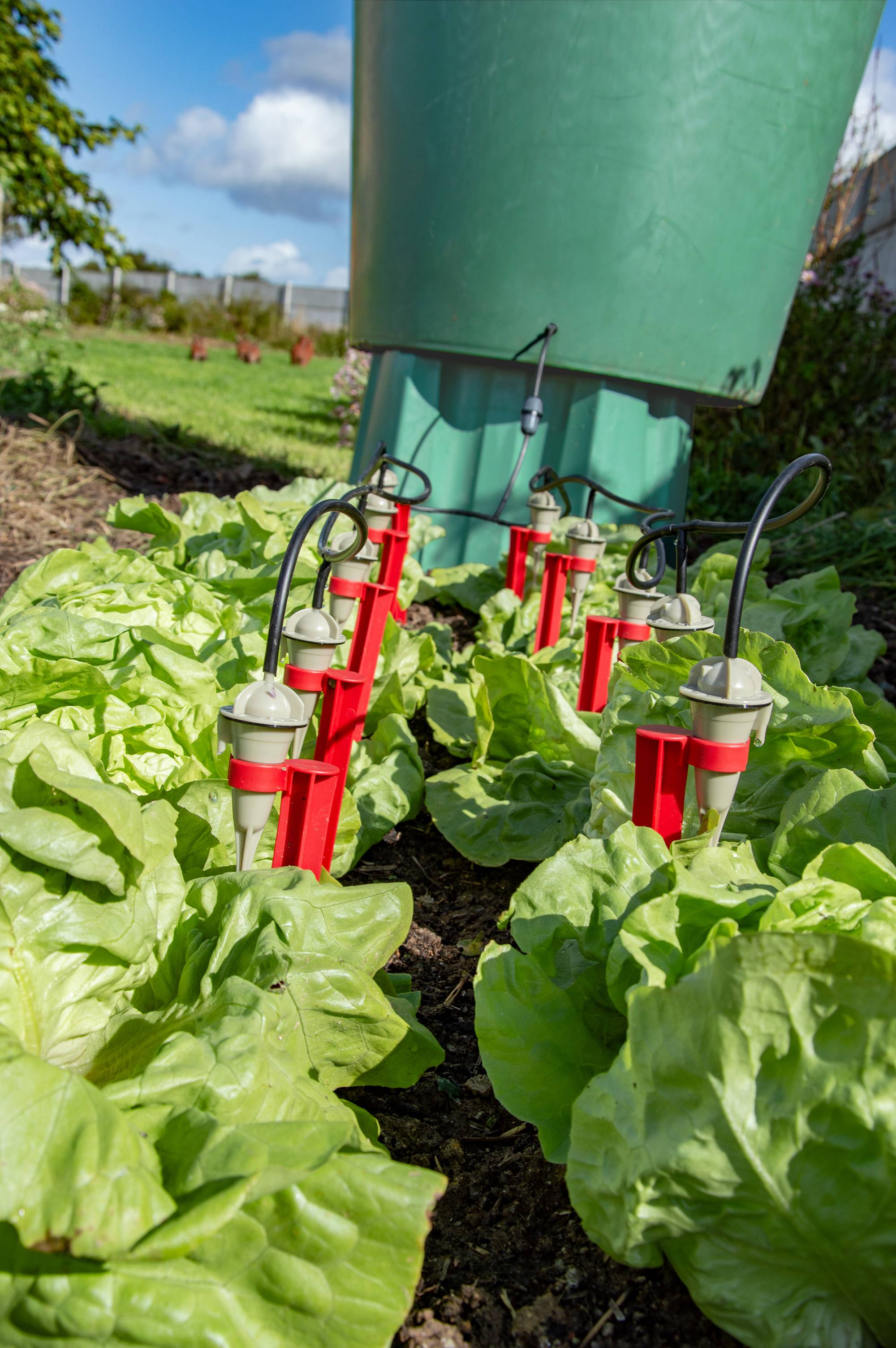 Iriso - Kit Jardin Arrosage Régulé 10 Goutteurs - IRISO - Imagen 2